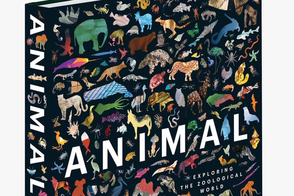 ANIMAL: Exploring the Zoological World - Conjour Book Review - Cover