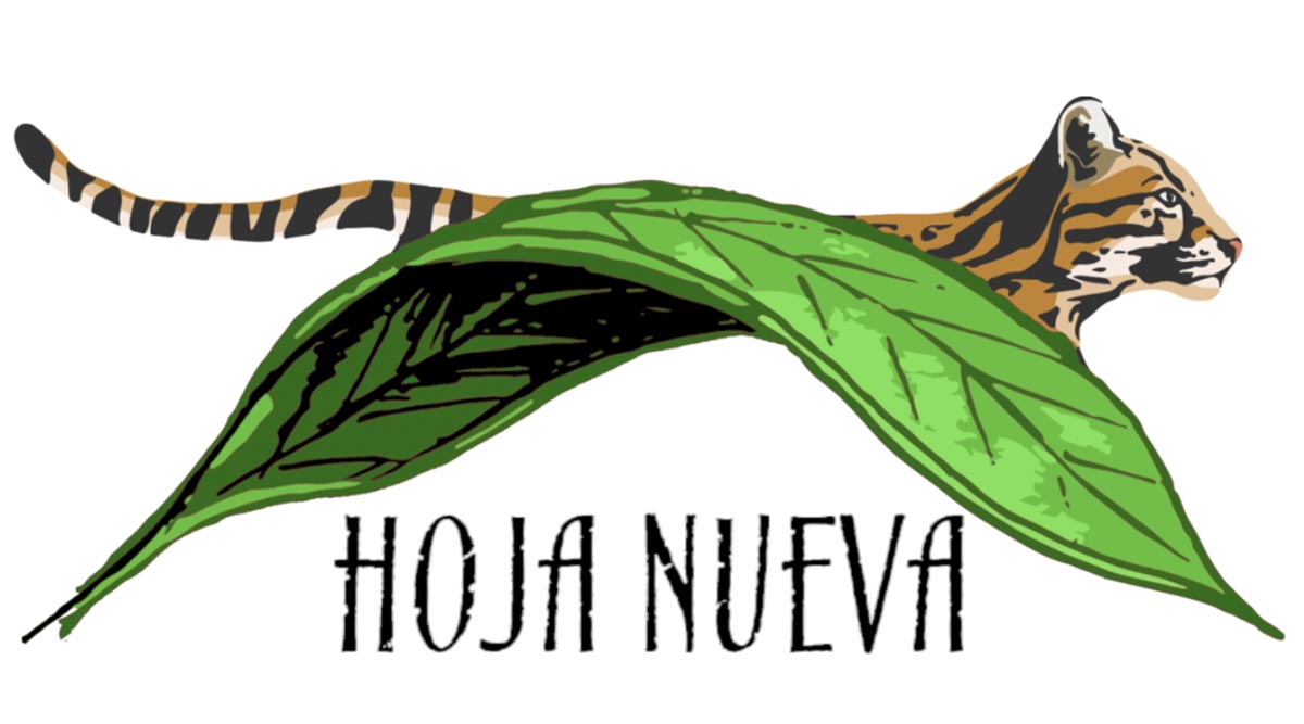 Conjour - Hoja Nueva - Logo