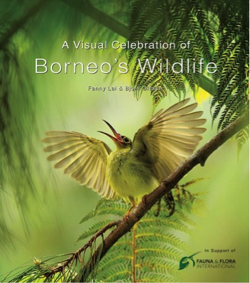 Win A Visual Celebration of Borneo's Wildlife - Conjour