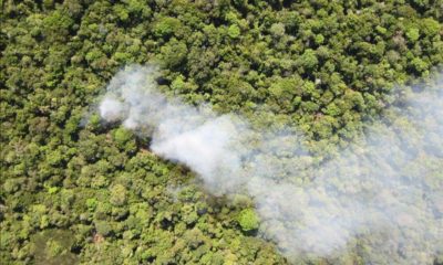 Deforestation - IPAM Amazonia - Conjour